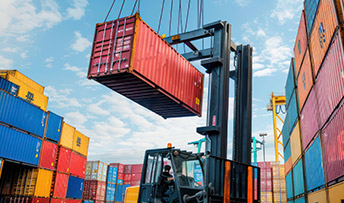 Vista Logistics Team